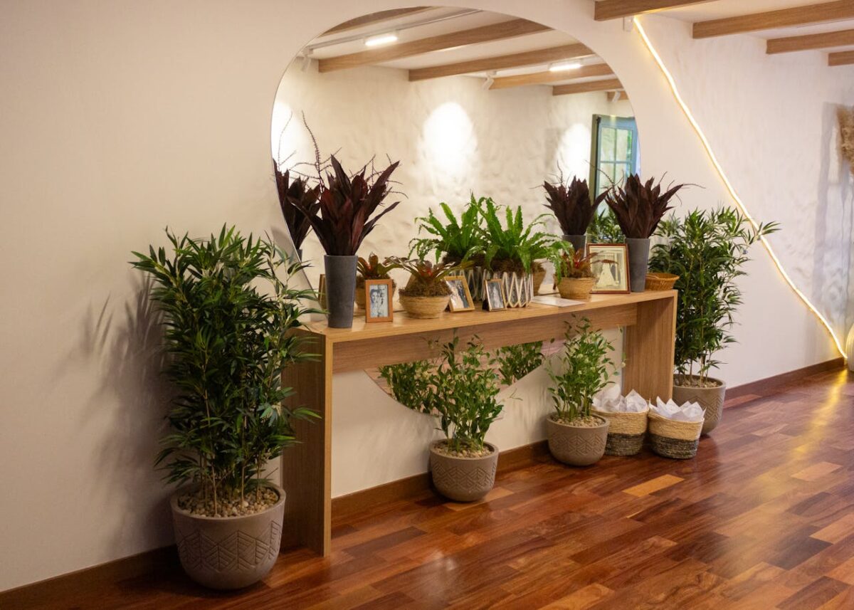 Stylish indoor decor featuring plants in pots, a wooden console table, and an elegant arch in São Paulo.