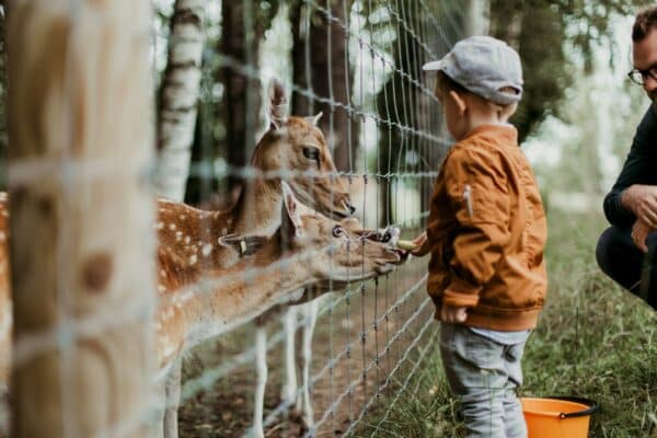 Quelles espèces peut-on observer dans un parc zoologique ?